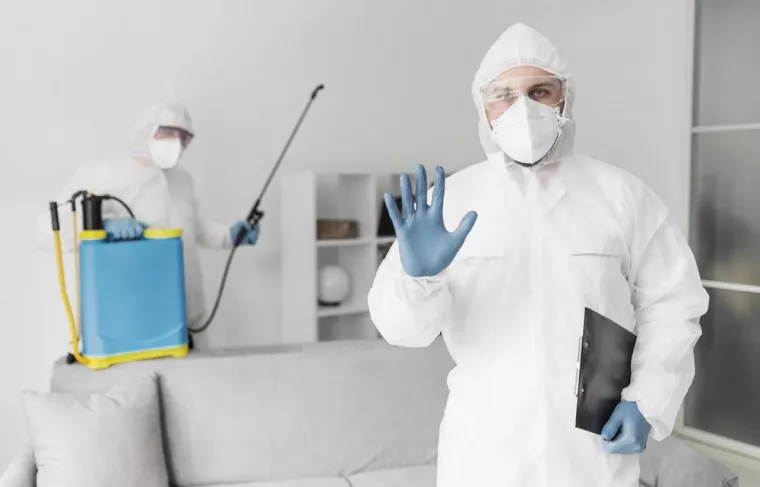 Pourquoi désinfecter les surfaces après une infestation de nuisibles ?, Carros, Entreprise Plus 3D
